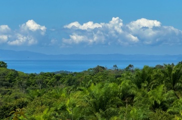 Finca Lomas del Paraiso, with a size of 24,095 m² in Cuervito de Pavones offers; privacy, natural beauty, and unparalleled views, located in Cuervito