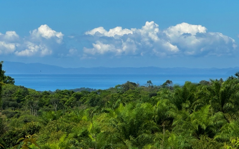 Finca Lomas del Paraiso, with a size of 24,095 m² in Cuervito de Pavones offers; privacy, natural beauty, and unparalleled views, located in Cuervito