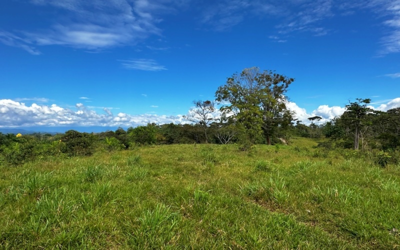 Finca Lomas del Paraiso, with a size of 24,095 m² in Cuervito de Pavones offers; privacy, natural beauty, and unparalleled views, located in Cuervito