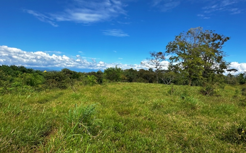 Finca Lomas del Paraiso, with a size of 24,095 m² in Cuervito de Pavones offers; privacy, natural beauty, and unparalleled views, located in Cuervito