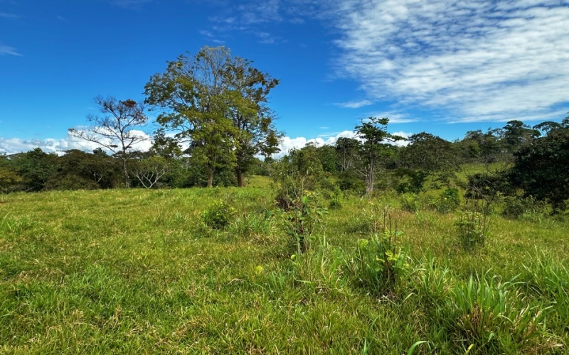 Finca Lomas del Paraiso, with a size of 24,095 m² in Cuervito de Pavones offers; privacy, natural beauty, and unparalleled views, located in Cuervito