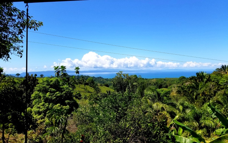 House, For Rent, House For Rent, small house, ocean view, pavones, costa rica