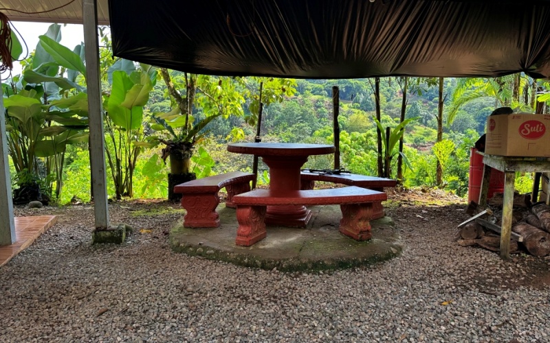 Natural Sanctuary in Guaycará of Golfito, Discover a Natural Paradise  with 41.16 acres of lush nature, agricultural production, and unlimited opportunities 