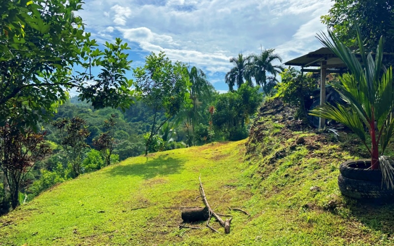 Natural Sanctuary in Guaycará of Golfito, Discover a Natural Paradise  with 41.16 acres of lush nature, agricultural production, and unlimited opportunities 