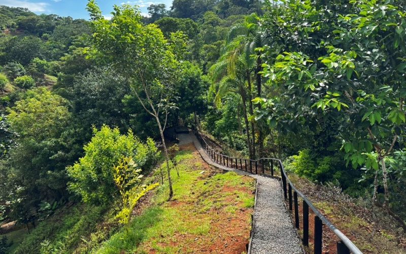 Natural Sanctuary in Guaycará of Golfito, Discover a Natural Paradise  with 41.16 acres of lush nature, agricultural production, and unlimited opportunities Natural Sanctuary in Guaycará of Golfito, Discover a Natural Paradise  with 41.16 acres of lush nature, agricultural production, and unlimited opportunities 