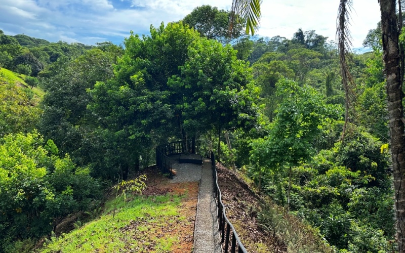 Natural Sanctuary in Guaycará of Golfito, Discover a Natural Paradise  with 41.16 acres of lush nature, agricultural production, and unlimited opportunities 