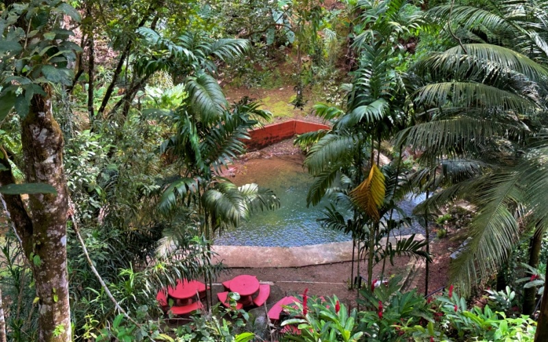 Natural Sanctuary in Guaycará of Golfito, Discover a Natural Paradise  with 41.16 acres of lush nature, agricultural production, and unlimited opportunities 