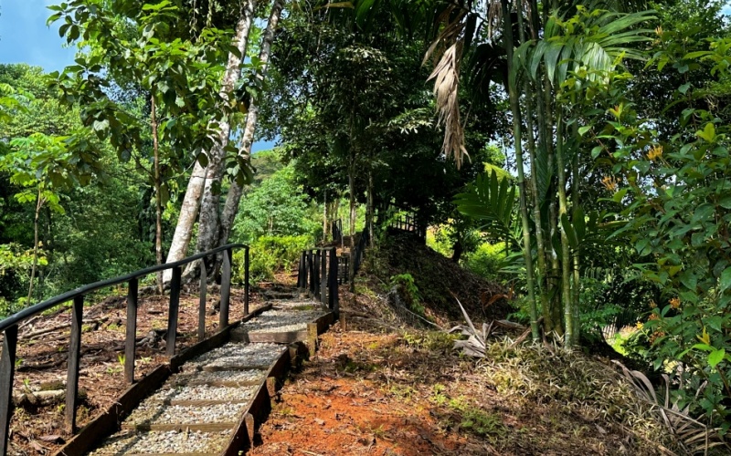 Natural Sanctuary in Guaycará of Golfito, Discover a Natural Paradise  with 41.16 acres of lush nature, agricultural production, and unlimited opportunities 