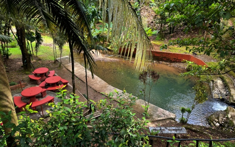 Natural Sanctuary in Guaycará of Golfito, Discover a Natural Paradise  with 41.16 acres of lush nature, agricultural production, and unlimited opportunities 