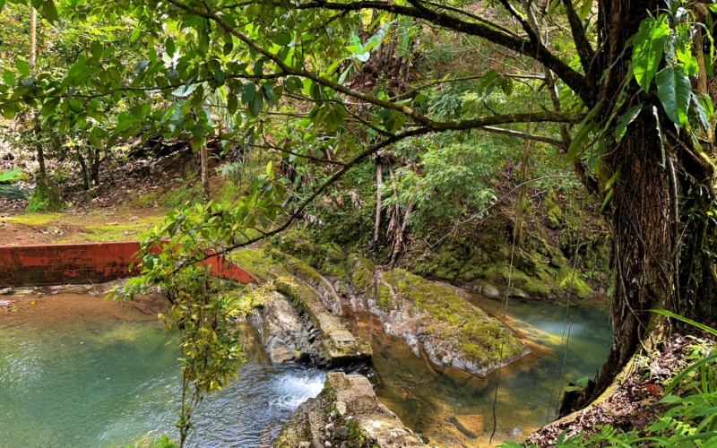 Natural Sanctuary in Guaycará of Golfito, Discover a Natural Paradise  with 41.16 acres of lush nature, agricultural production, and unlimited opportunities 