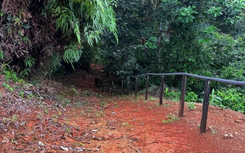 Natural Sanctuary in Guaycará of Golfito, Discover a Natural Paradise  with 41.16 acres of lush nature, agricultural production, and unlimited opportunities 