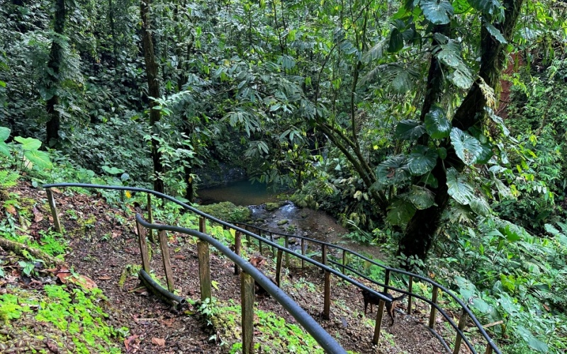 Natural Sanctuary in Guaycará of Golfito, Discover a Natural Paradise  with 41.16 acres of lush nature, agricultural production, and unlimited opportunities 