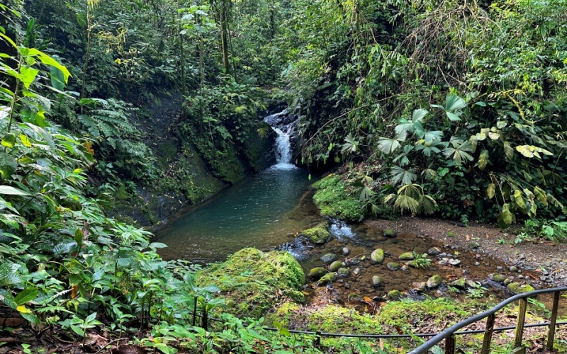 Natural Sanctuary in Guaycará of Golfito, Discover a Natural Paradise  with 41.16 acres of lush nature, agricultural production, and unlimited opportunities 