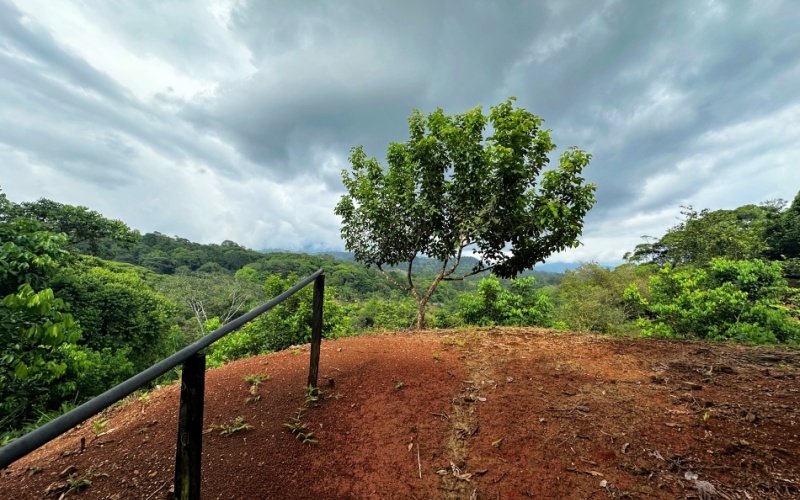 Natural Sanctuary in Guaycará of Golfito, Discover a Natural Paradise  with 41.16 acres of lush nature, agricultural production, and unlimited opportunities 