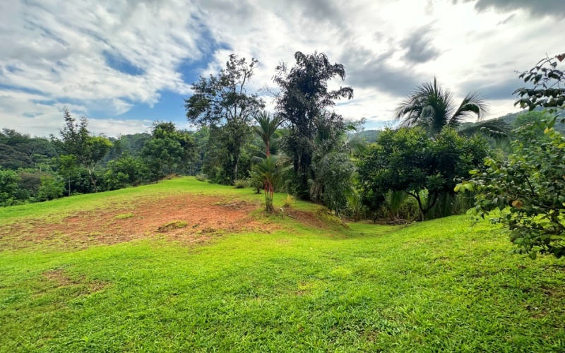 Natural Sanctuary in Guaycará of Golfito, Discover a Natural Paradise  with 41.16 acres of lush nature, agricultural production, and unlimited opportunities 