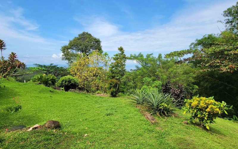 House for sale, Pavones, Real estate for sale, Realty Pros, Mountain home, ocean view, Cuervito, Pavones, Costa Rica