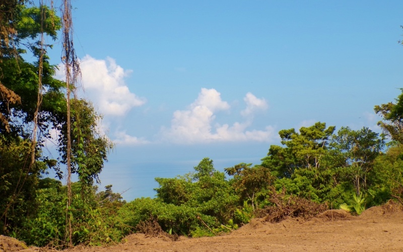 Rincón del Cielo is Perched atop the heights of La Hierba, this spectacular 17,000 m² property is a true gem, It offers unparalleled views and absolute privacy