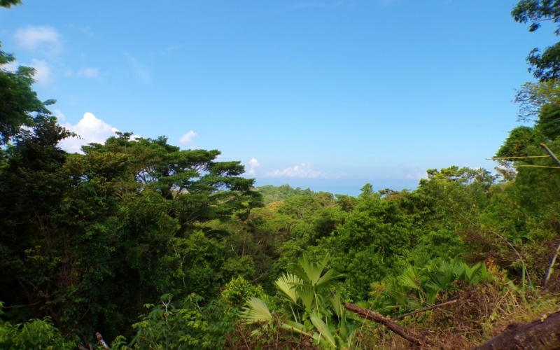 Rincón del Cielo is Perched atop the heights of La Hierba, this spectacular 17,000 m² property is a true gem, It offers unparalleled views and absolute privacy