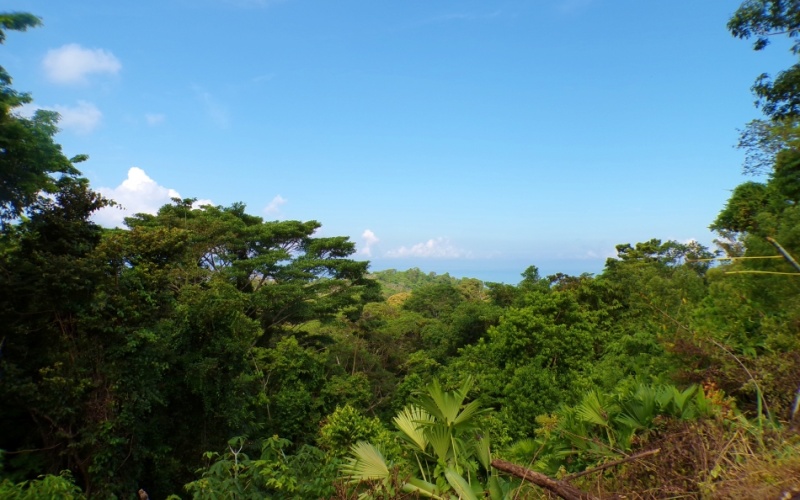 Rincón del Cielo is Perched atop the heights of La Hierba, this spectacular 17,000 m² property is a true gem, It offers unparalleled views and absolute privacy