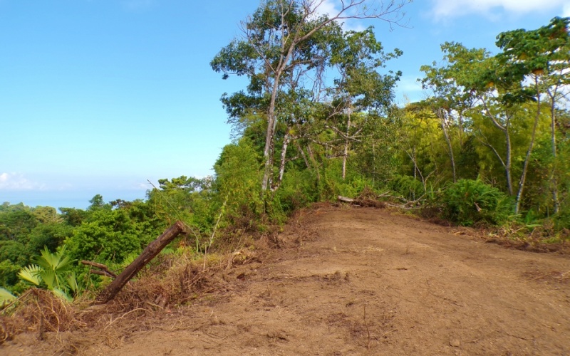 Rincón del Cielo is Perched atop the heights of La Hierba, this spectacular 17,000 m² property is a true gem, It offers unparalleled views and absolute privacy