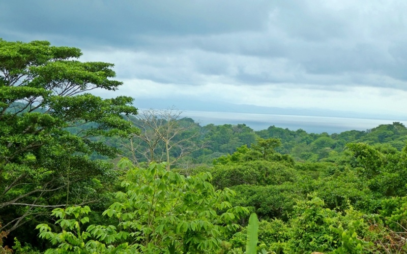 Rincón del Cielo is Perched atop the heights of La Hierba, this spectacular 17,000 m² property is a true gem, It offers unparalleled views and absolute privacy