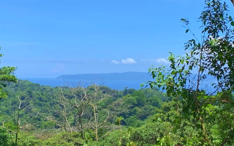 Rincón del Cielo is Perched atop the heights of La Hierba, this spectacular 17,000 m² property is a true gem, It offers unparalleled views and absolute privacy