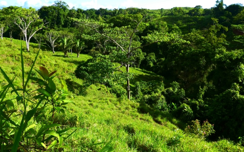 Finca Valle de Cascadas is an exclusive Property located in the heart of the mountains of la Esperanza, this 118,749 m² (29,34 acres) property offers an unparalleled setting