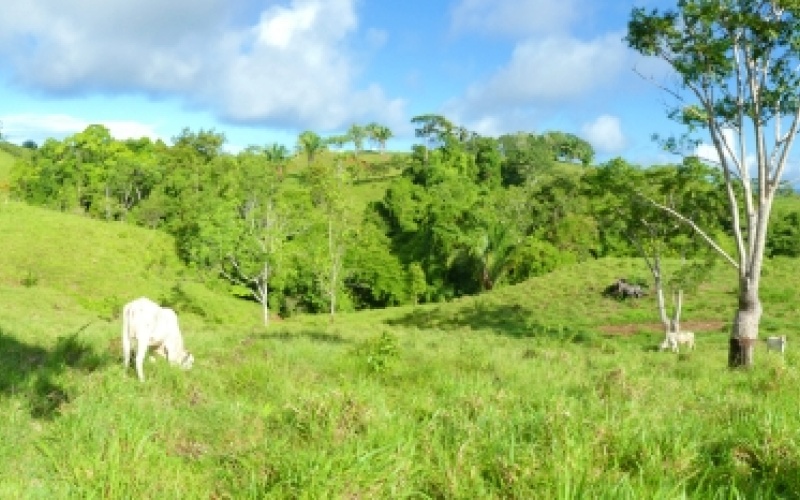 Finca Valle de Cascadas is an exclusive Property located in the heart of the mountains of la Esperanza, this 118,749 m² (29,34 acres) property offers an unparalleled setting