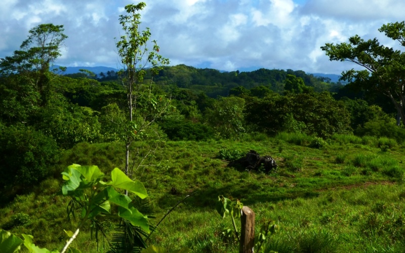 Finca Valle de Cascadas is an exclusive Property located in the heart of the mountains of la Esperanza, this 118,749 m² (29,34 acres) property offers an unparalleled setting