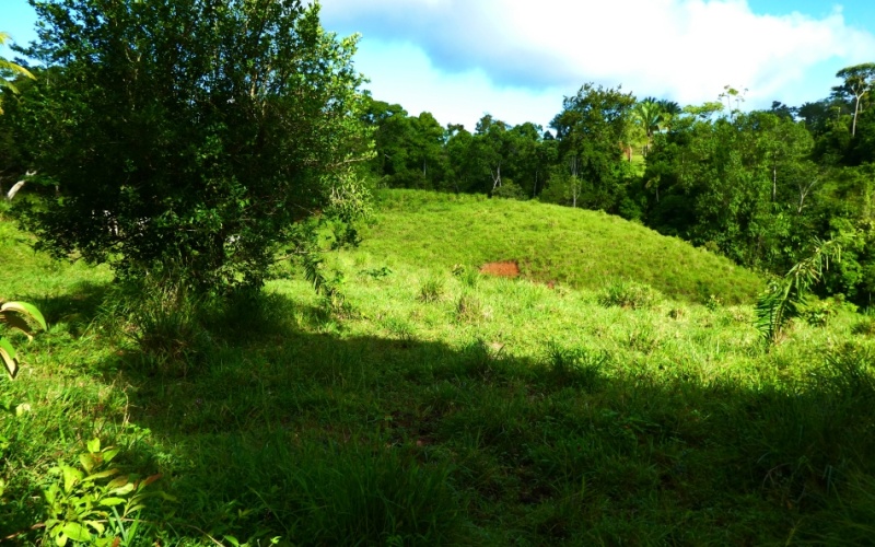 Finca Valle de Cascadas is an exclusive Property located in the heart of the mountains of la Esperanza, this 118,749 m² (29,34 acres) property offers an unparalleled setting