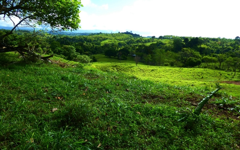 Finca Valle de Cascadas is an exclusive Property located in the heart of the mountains of la Esperanza, this 118,749 m² (29,34 acres) property offers an unparalleled setting