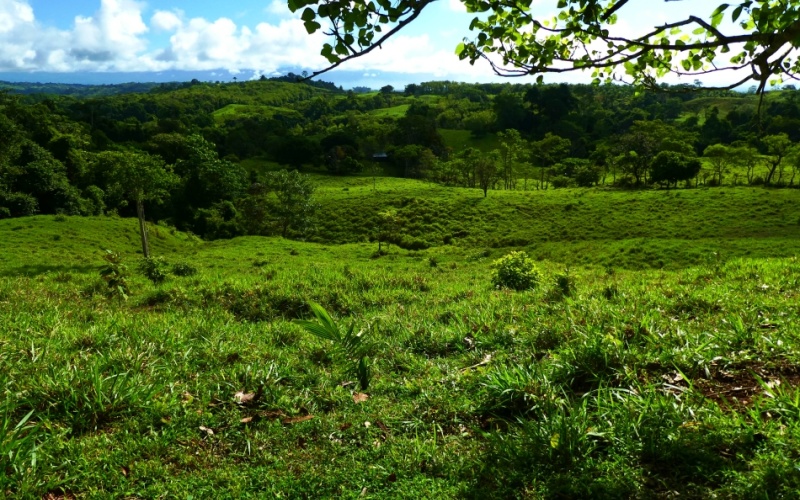 Finca Valle de Cascadas is an exclusive Property located in the heart of the mountains of la Esperanza, this 118,749 m² (29,34 acres) property offers an unparalleled setting