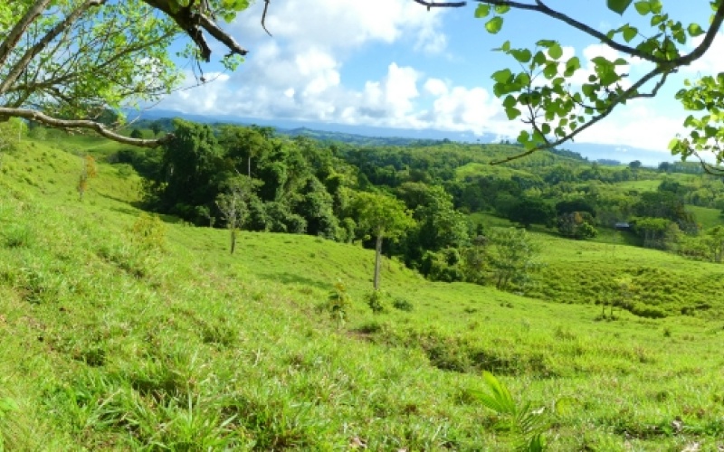 Finca Valle de Cascadas is an exclusive Property located in the heart of the mountains of la Esperanza, this 118,749 m² (29,34 acres) property offers an unparalleled setting