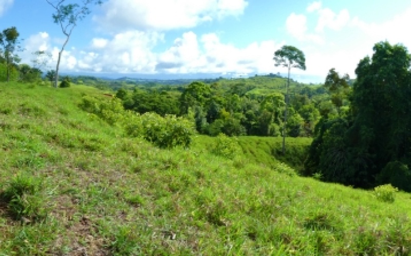 Finca Valle de Cascadas is an exclusive Property located in the heart of the mountains of la Esperanza, this 118,749 m² (29,34 acres) property offers an unparalleled setting