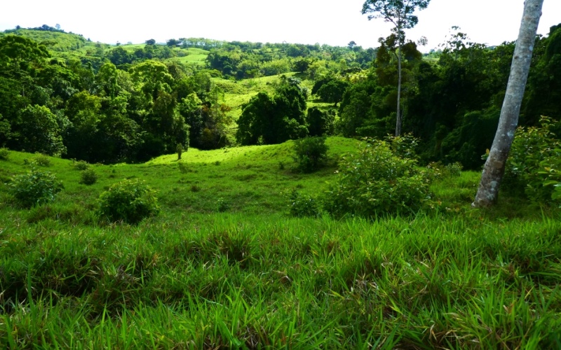 Finca Valle de Cascadas is an exclusive Property located in the heart of the mountains of la Esperanza, this 118,749 m² (29,34 acres) property offers an unparalleled setting