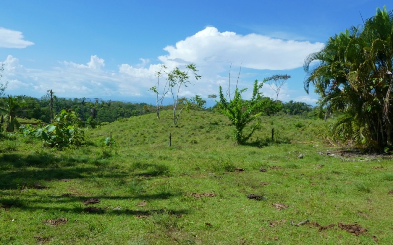 Natural Treasure with Ocean and Mountain View its a  Panoramic Estate in the Highlands of Cuervito: 143,704 m² of Privacy, Nature, and Spectacular Views