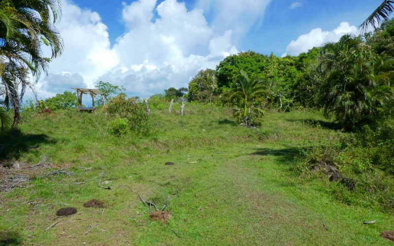 Natural Treasure with Ocean and Mountain View its a  Panoramic Estate in the Highlands of Cuervito: 143,704 m² of Privacy, Nature, and Spectacular Views