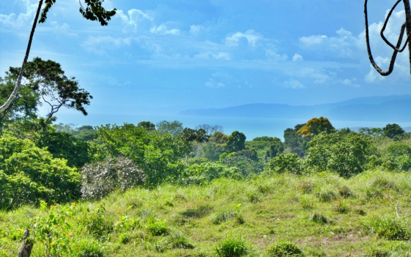 Natural Treasure with Ocean and Mountain View its a  Panoramic Estate in the Highlands of Cuervito: 143,704 m² of Privacy, Nature, and Spectacular Views