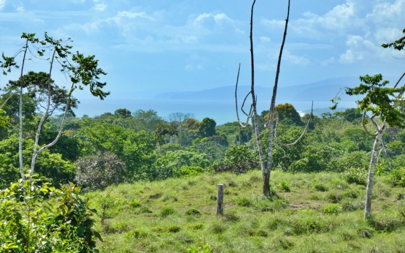 Natural Treasure with Ocean and Mountain View its a  Panoramic Estate in the Highlands of Cuervito: 143,704 m² of Privacy, Nature, and Spectacular Views