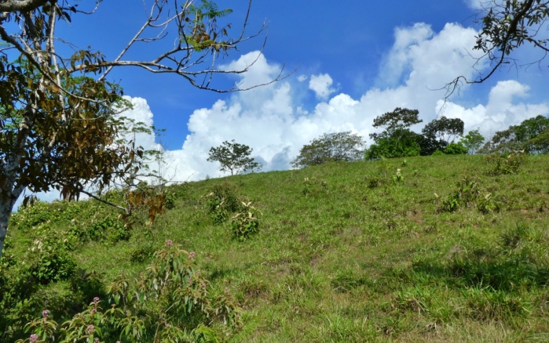 Natural Treasure with Ocean and Mountain View its a  Panoramic Estate in the Highlands of Cuervito: 143,704 m² of Privacy, Nature, and Spectacular Views