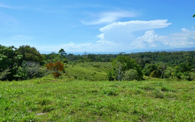 Natural Treasure with Ocean and Mountain View its a  Panoramic Estate in the Highlands of Cuervito: 143,704 m² of Privacy, Nature, and Spectacular Views