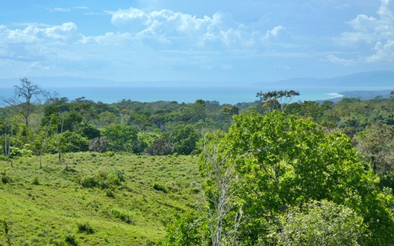 Natural Treasure with Ocean and Mountain View its a  Panoramic Estate in the Highlands of Cuervito: 143,704 m² of Privacy, Nature, and Spectacular Views