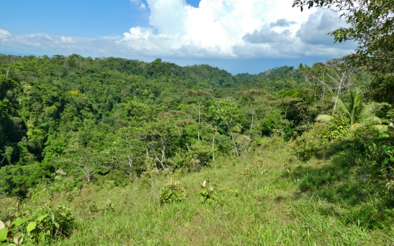 Natural Treasure with Ocean and Mountain View its a  Panoramic Estate in the Highlands of Cuervito: 143,704 m² of Privacy, Nature, and Spectacular Views