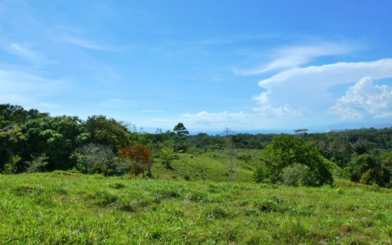 Natural Treasure with Ocean and Mountain View its a  Panoramic Estate in the Highlands of Cuervito: 143,704 m² of Privacy, Nature, and Spectacular Views