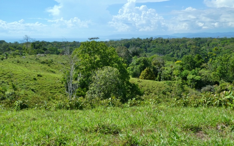 Natural Treasure with Ocean and Mountain View its a  Panoramic Estate in the Highlands of Cuervito: 143,704 m² of Privacy, Nature, and Spectacular Views