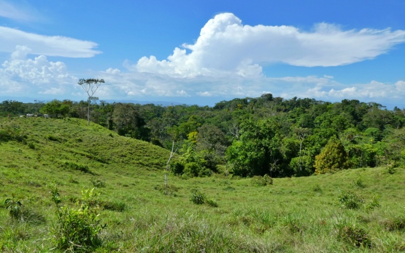 Natural Treasure with Ocean and Mountain View its a  Panoramic Estate in the Highlands of Cuervito: 143,704 m² of Privacy, Nature, and Spectacular Views