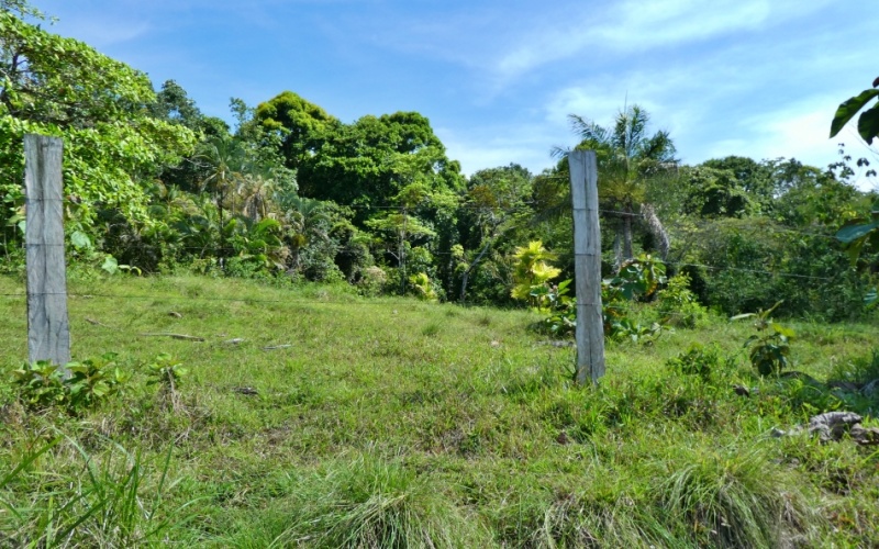 Natural Treasure with Ocean and Mountain View its a  Panoramic Estate in the Highlands of Cuervito: 143,704 m² of Privacy, Nature, and Spectacular Views