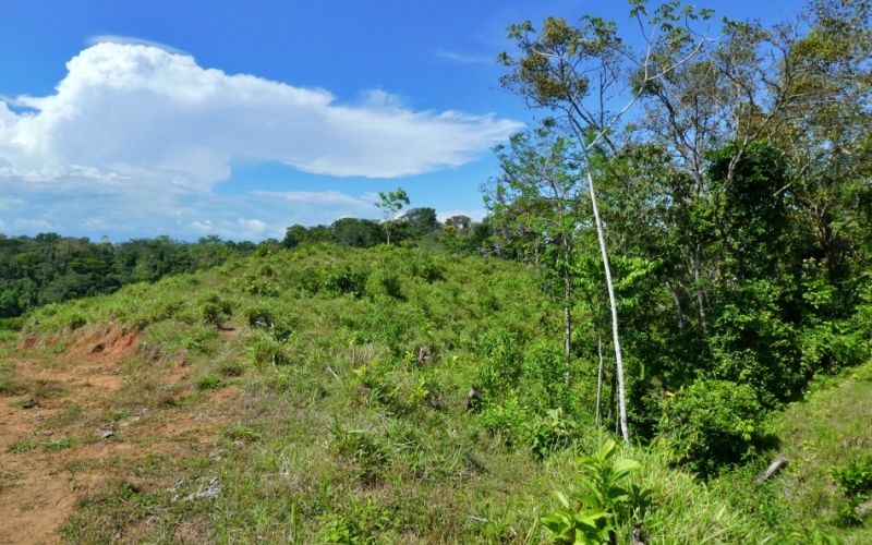 Natural Treasure with Ocean and Mountain View its a  Panoramic Estate in the Highlands of Cuervito: 143,704 m² of Privacy, Nature, and Spectacular Views