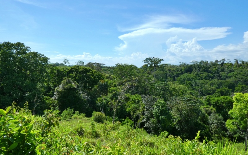 Natural Treasure with Ocean and Mountain View its a  Panoramic Estate in the Highlands of Cuervito: 143,704 m² of Privacy, Nature, and Spectacular Views