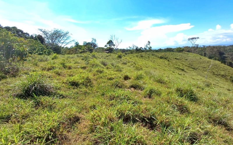 Natural Treasure with Ocean and Mountain View its a  Panoramic Estate in the Highlands of Cuervito: 143,704 m² of Privacy, Nature, and Spectacular Views